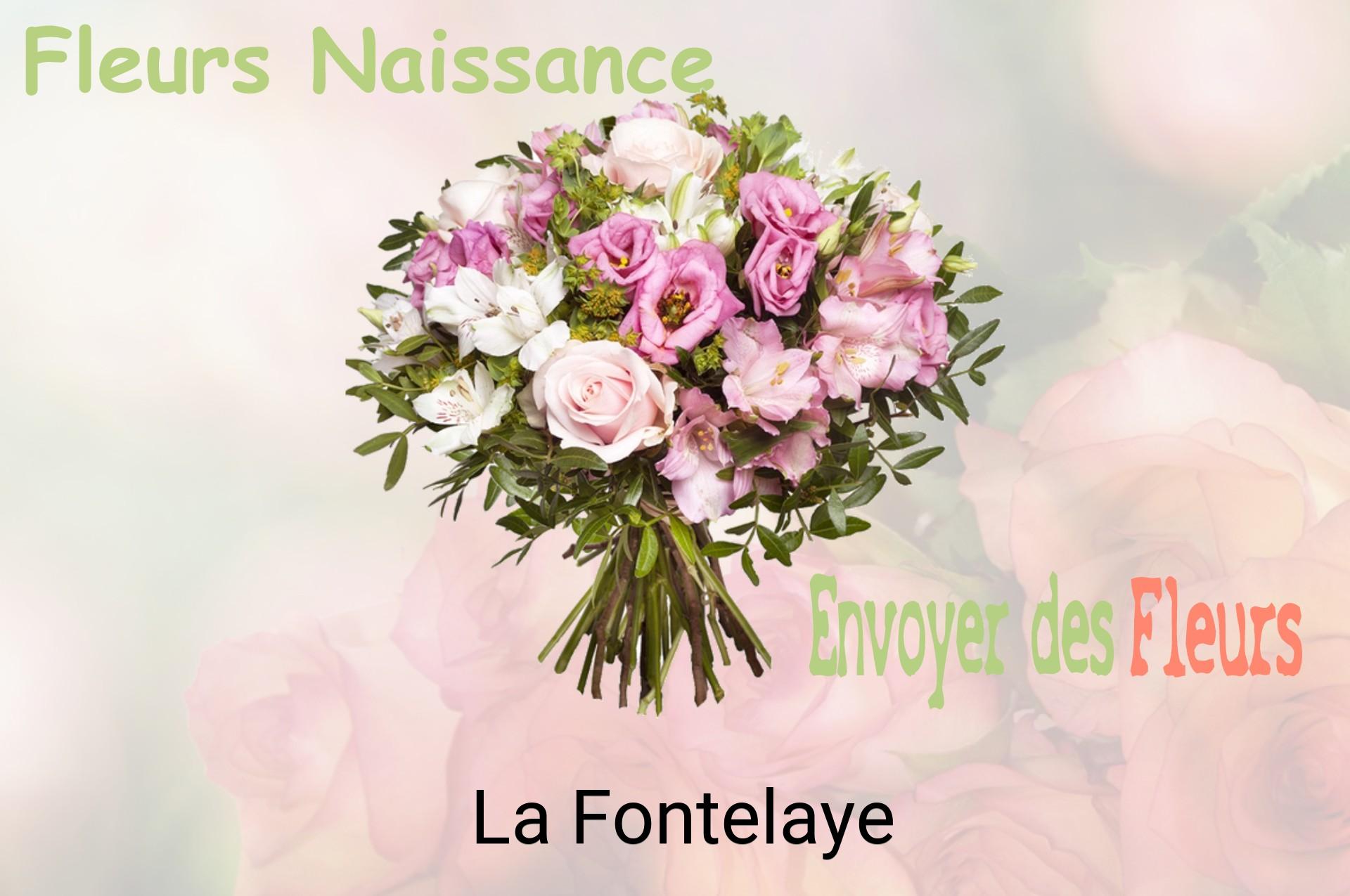 Bouquet de fleurs de naissance livré à La Fontelaye